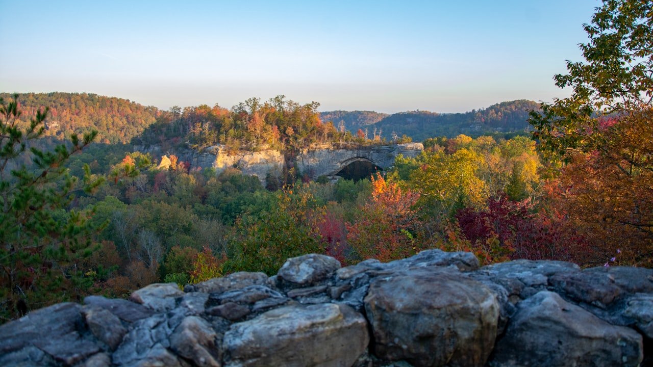 Why Natural Blotting Paper Is Best For Your Skin