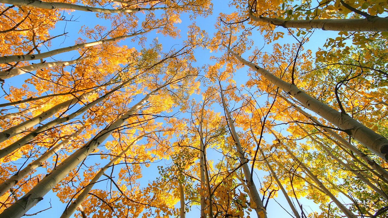 How To Buy Best Quality Parts For Roll-Up Doors