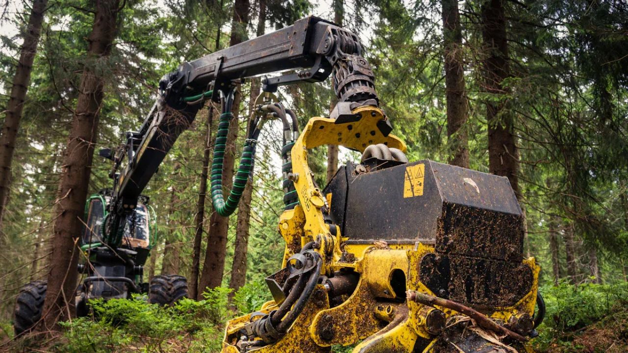 Why Quality Mulcher Teeth Matter in Heavy-Duty Forestry Work