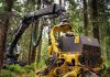 Why Quality Mulcher Teeth Matter in Heavy-Duty Forestry Work