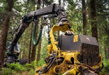 Why Quality Mulcher Teeth Matter in Heavy-Duty Forestry Work